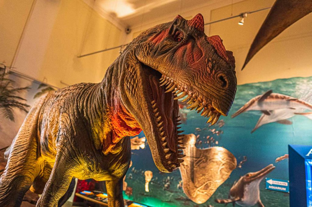 Salzburg with Kids: 11 Fun Things to do in Salzburg with Children